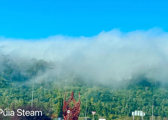Steam Land * 罗托鲁阿