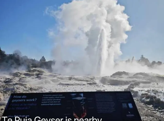 Steam Land